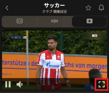 ブックメーカー サッカー 視聴