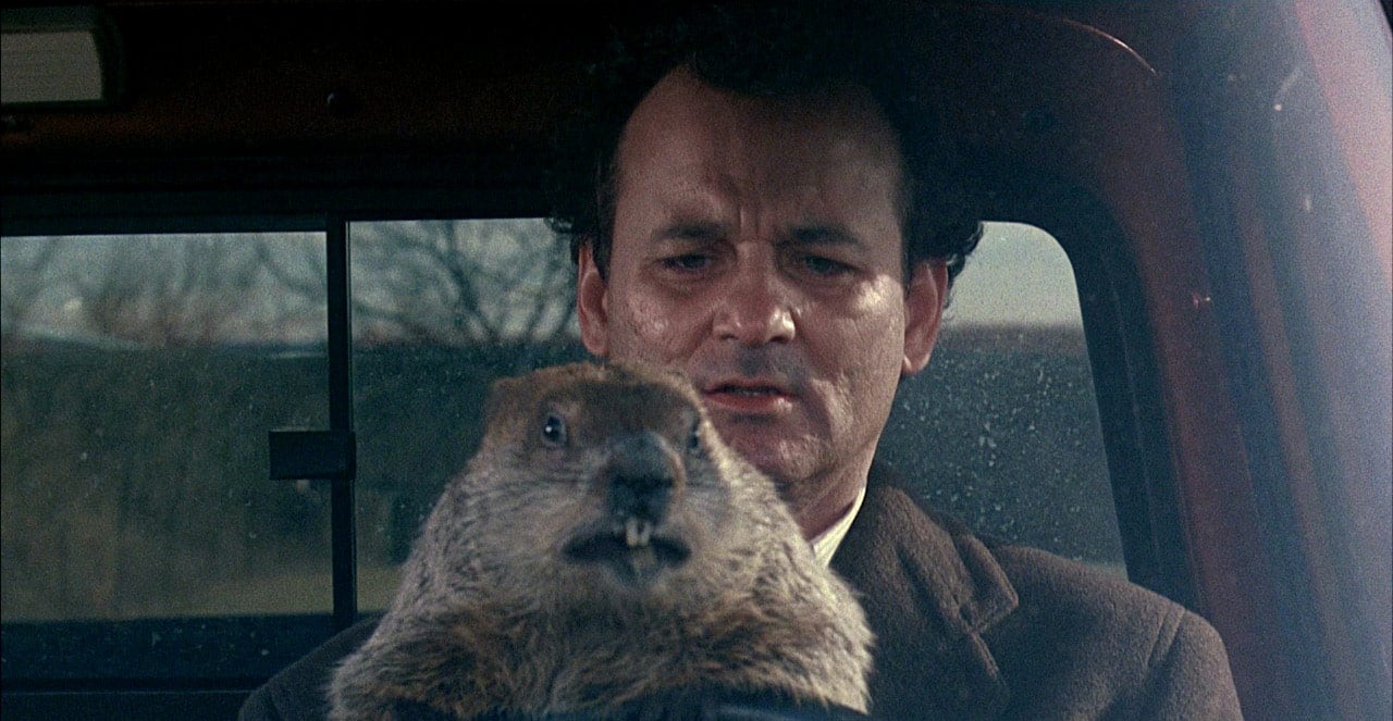 time travel tort law time loops Groundhog Day