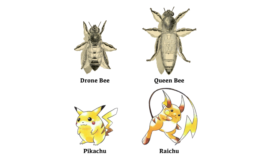 Pikachu & Raichu, drone bee & queen bee