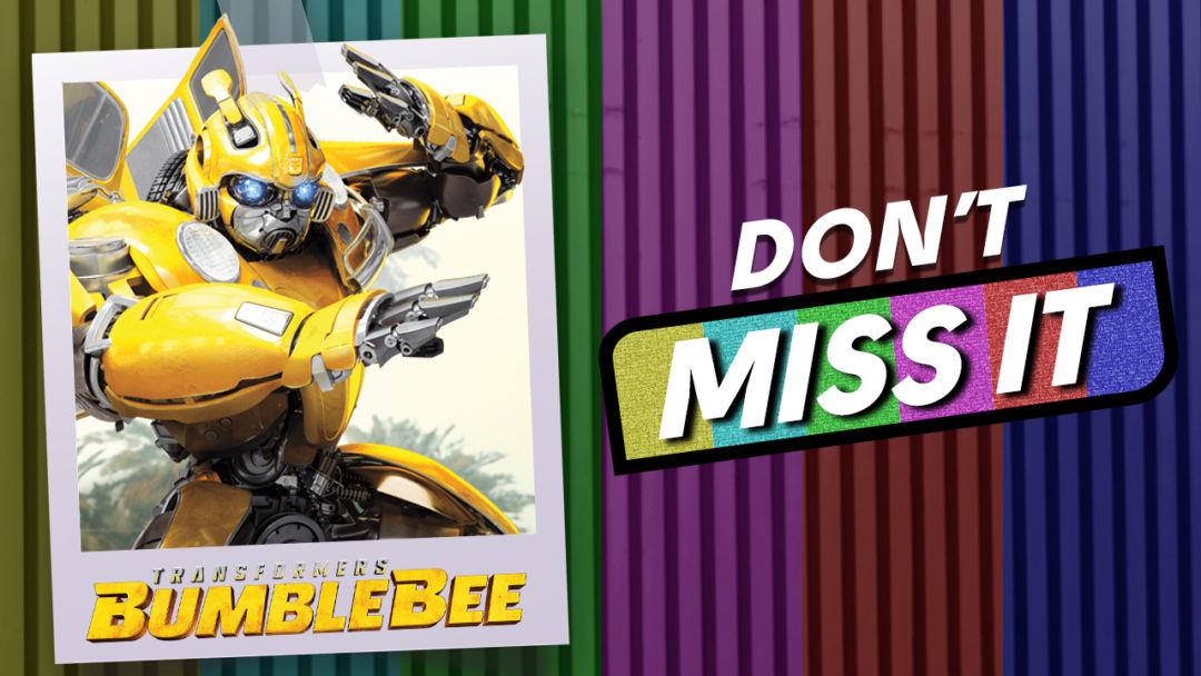 Bumblebee Transformers Travis Knight Hailee Steinfeld