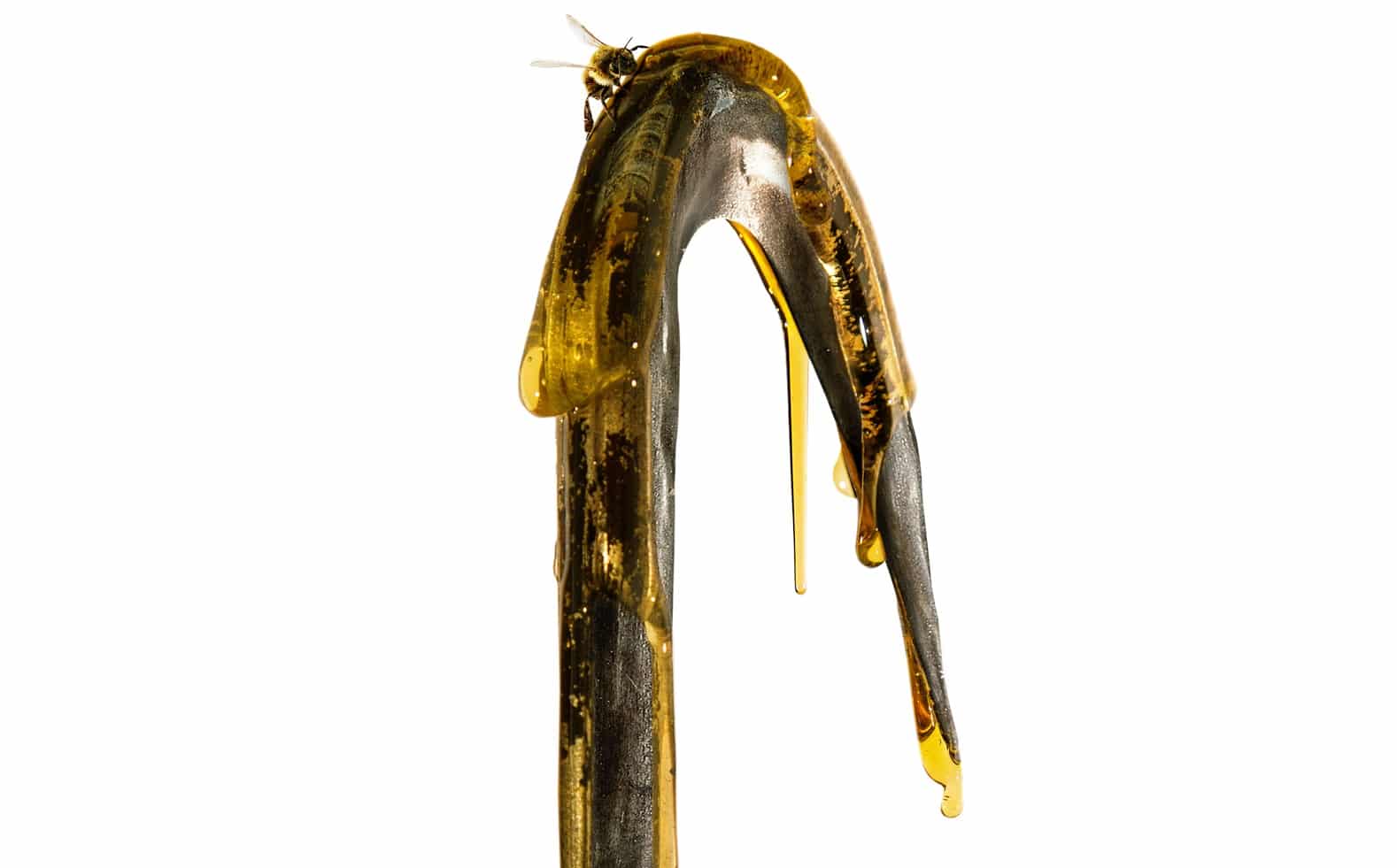 Candyman trailer 2020 Jordan Peele Win Rosenfeld Nia DaCosta