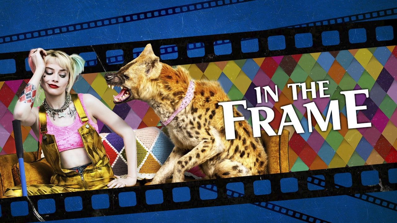 Birds of Prey Harley Quinn box office disappointing reasons why explanation