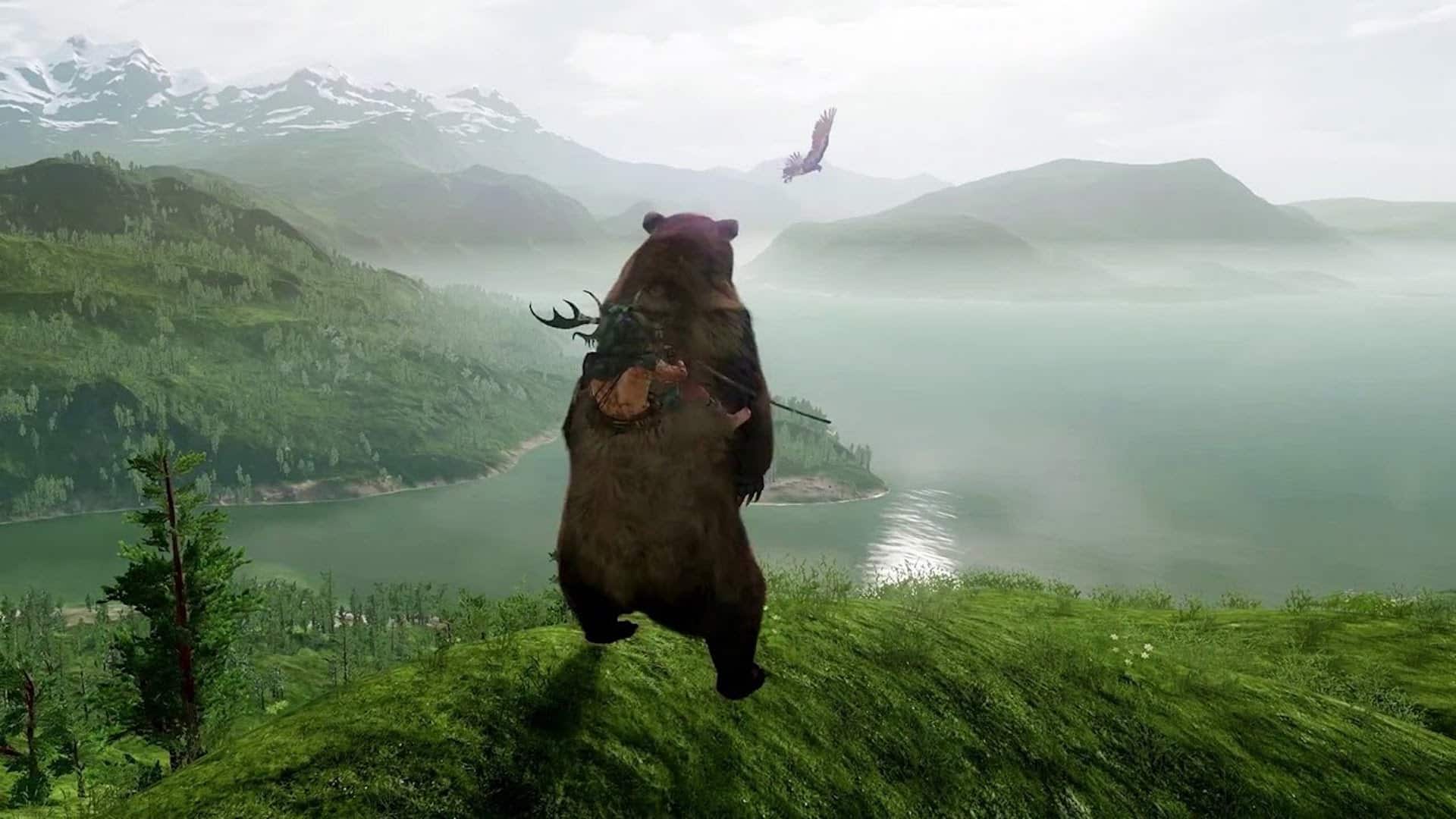 WiLD Wild Sheep Studio Michel Ancel