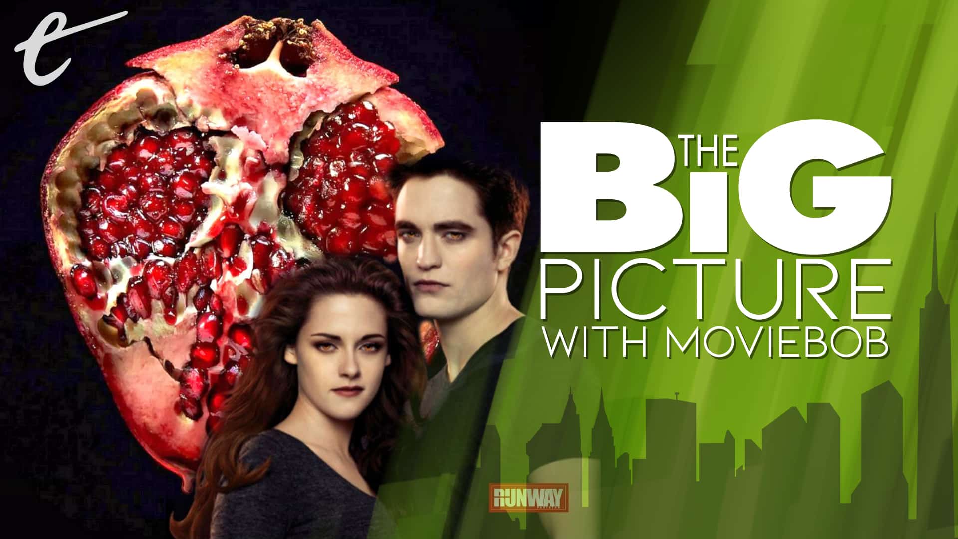 new twilight book twilight saga the big picture bob chipman