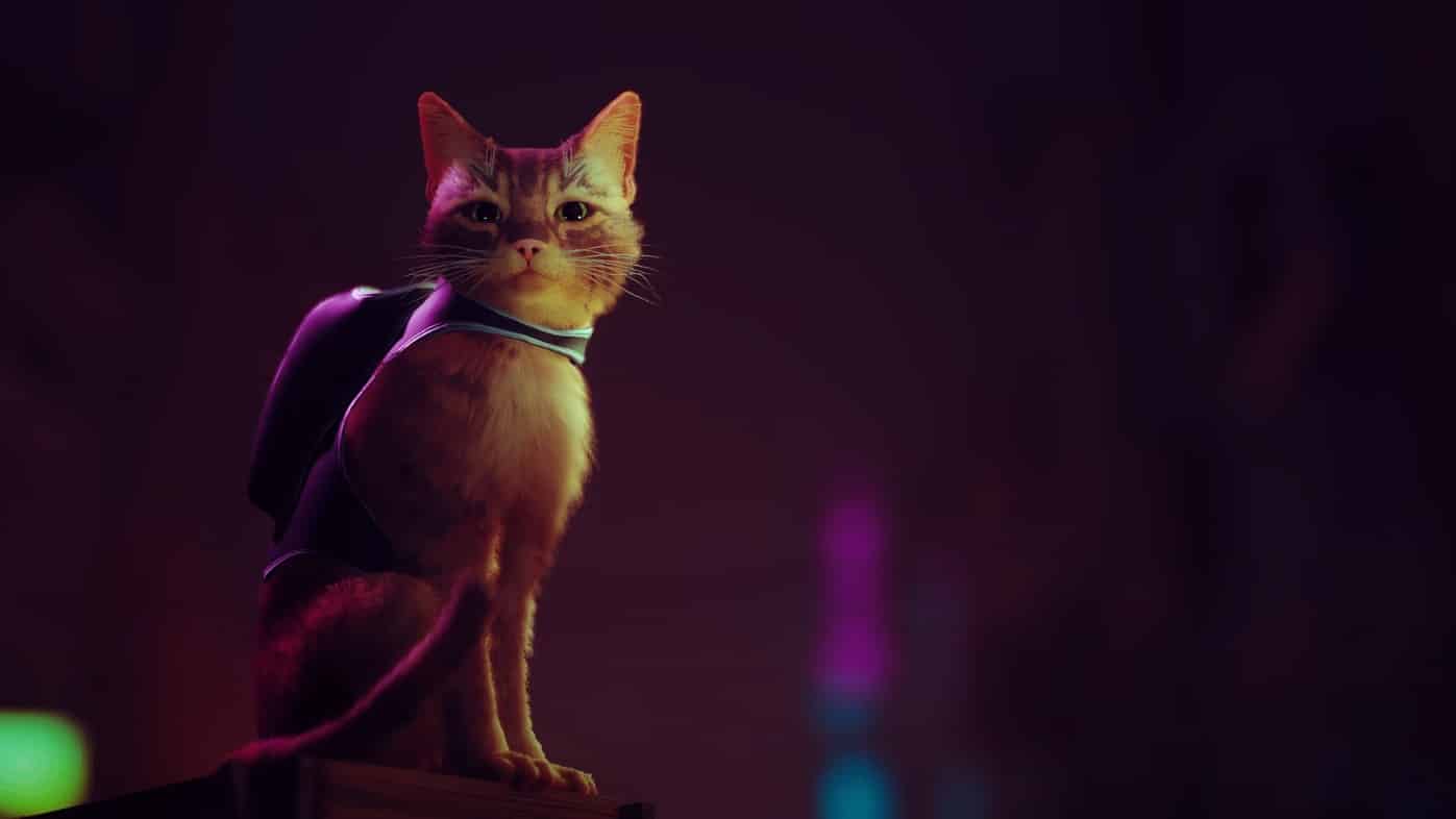 Stray BlueTwelve annapurna interactive playstation 5 pc