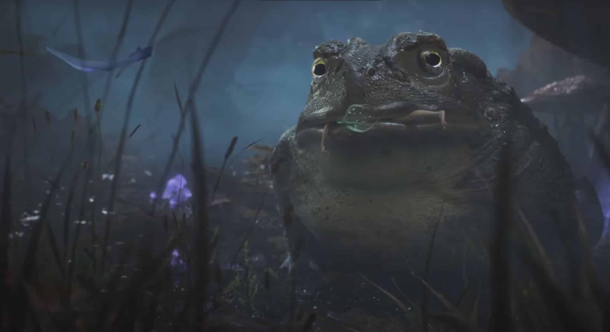 Fable from Playground Games Announced for Xbox Series X & PC Microsoft AAA RPG reboot