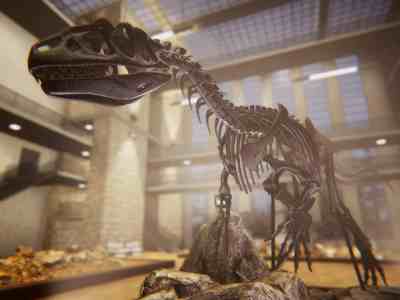 Dinosaur Fossil Hunter: Prologue free dinosaur archaeology simulator Pyramid Games PlayWay