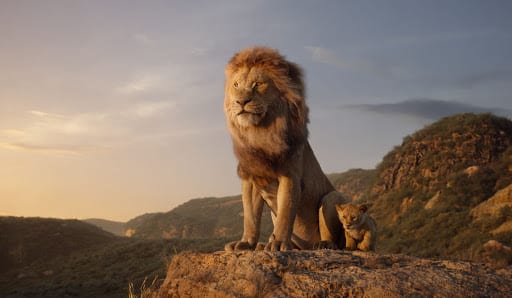 The Lion King Sequel Barry Jenkins director moonlight disney