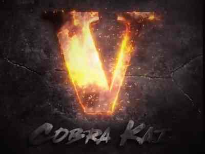 Cobra Kai season 5 official launch netflix
