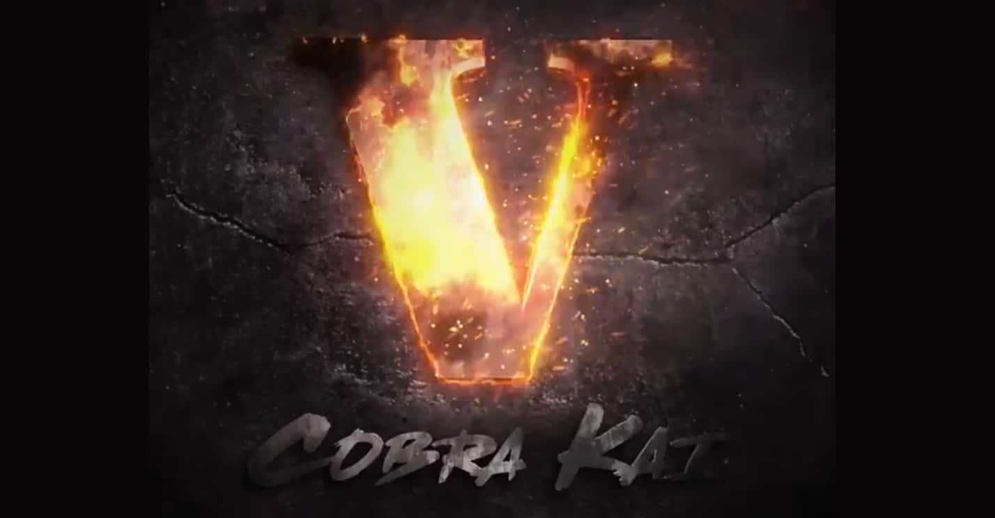 Cobra Kai season 5 official launch netflix