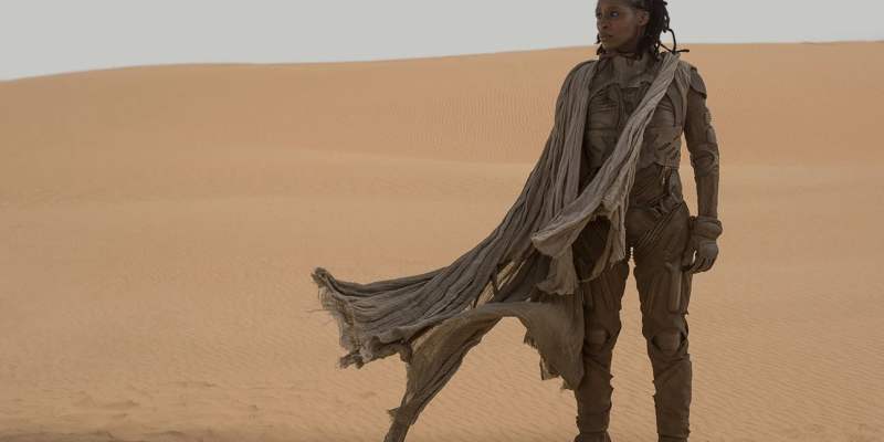 Denis Villeneuve Dune too big even for IMAX enormous scenes and spaces, obscured blurred details of people and intentions