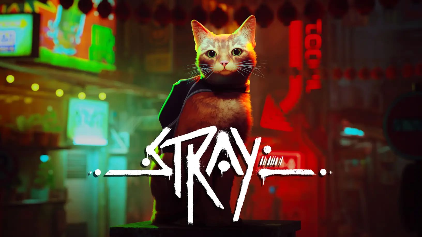 PS5 Event Reveals New Game Stray