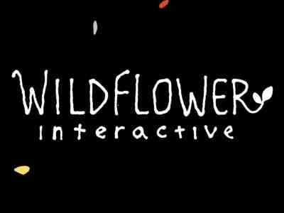 Wildflower Interactive is a New Studio Led by The Last of Us Director Bruce Straley