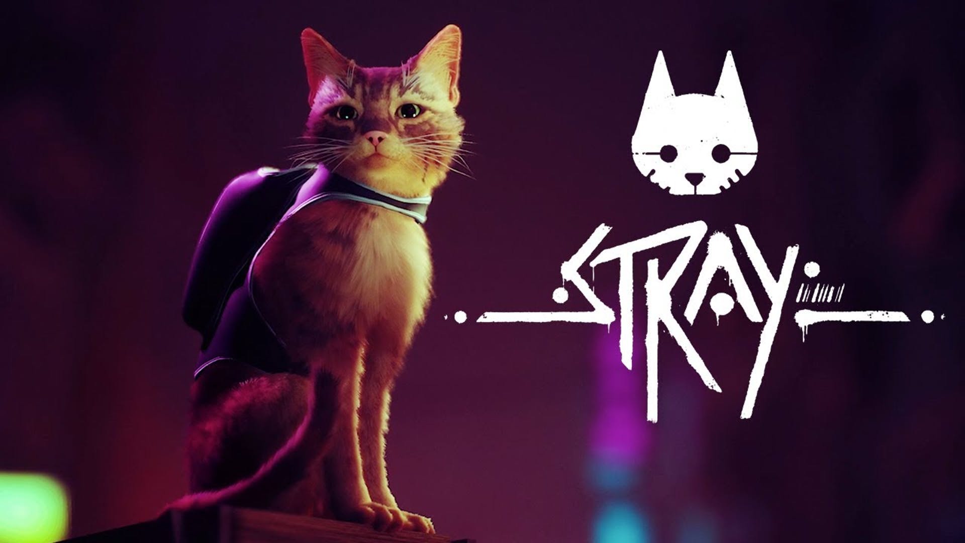 PC players are lapping up cat adventure Stray on Steam, despite