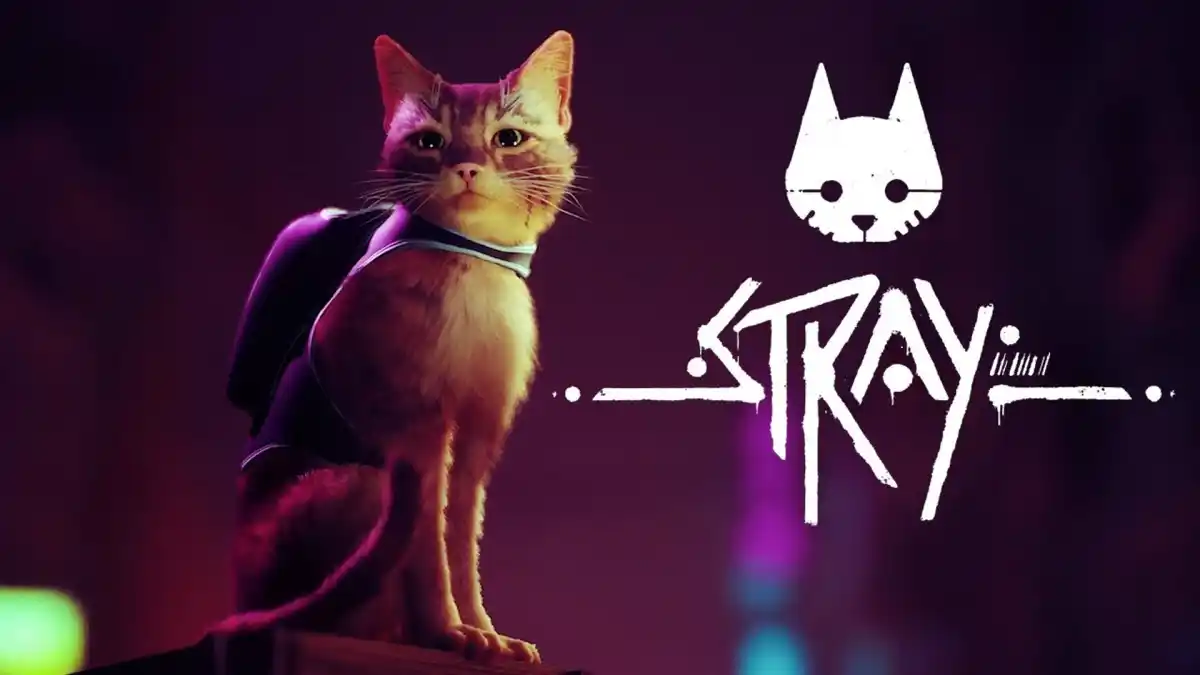 Stray physical version release date September 2022 iam8bit exclusive collectors edition q4 Annapurna Interactive BlueTwelve Studio Skybound Games indie cat game ps4 ps5