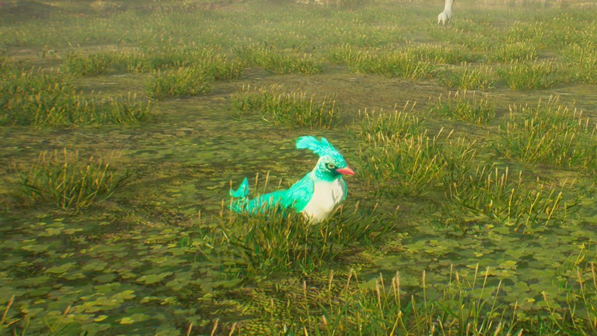 Here is a list of all of the tamable beasts in Hogwarts Legacy, including Jobberknolls, Fwoopers, Mooncalves, and more.