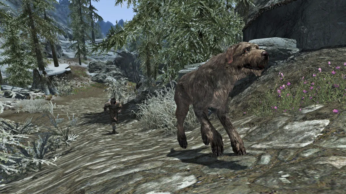 Instead of completing a simple sidequest, why not turn talking dog NPC Barbas into your traveling best friend in The Elder Scrolls V: Skyrim