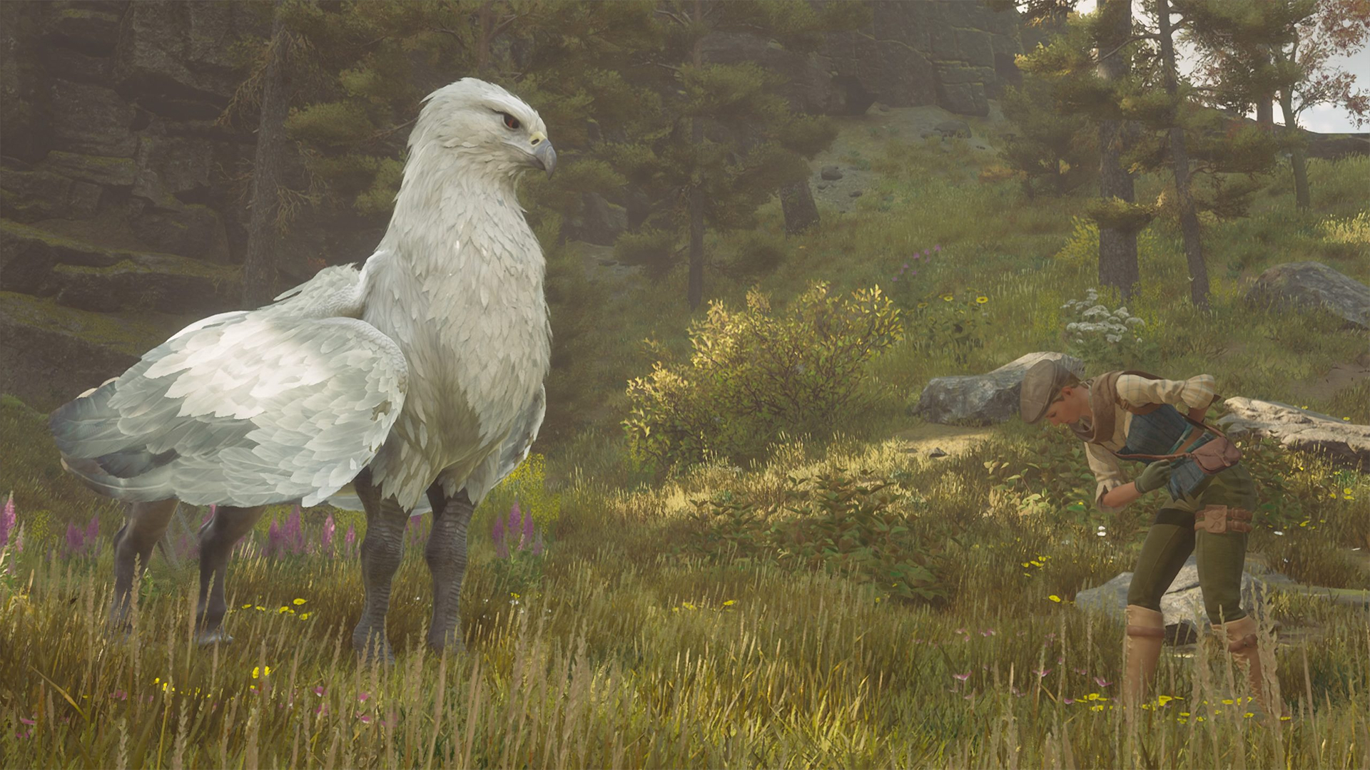 Here is the answer to if you can own a pet and/or magical beast in Hogwarts Legacy, the open-world Harry Potter video game adventure.