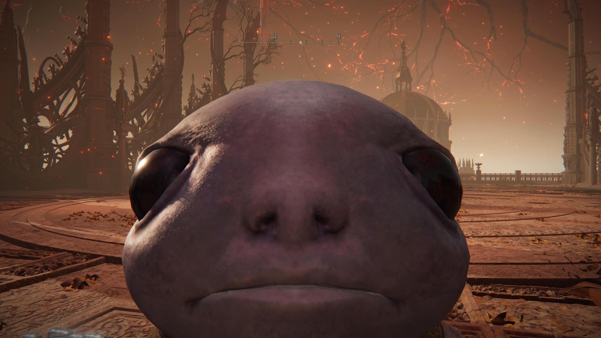 Elden Ring PvP joy okay to be jerk asshole with Albinauric Mask or Placidusax's Ruin