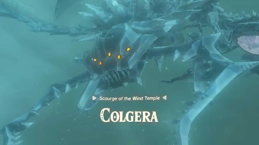 The Legend of Zelda Tears of the Kingdom defeat Colgera wind temple boss