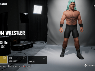 Here is the pretty old-school way how to create wrestler formulas in AEW: Fight Forever, if you want to share a design with friends.
