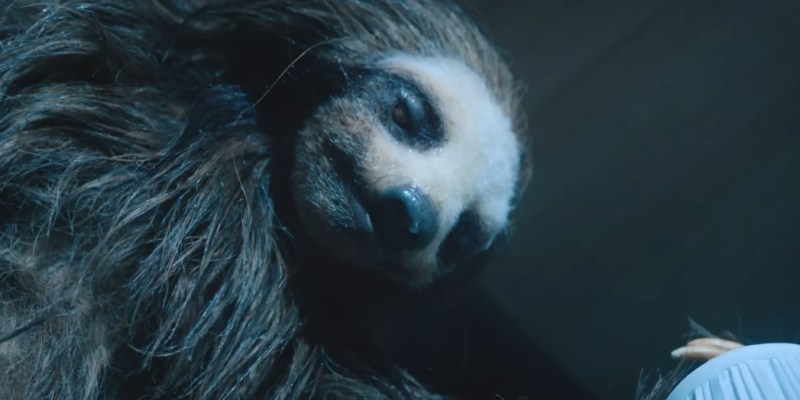 Slotherhouse Trailer Reveals Creepy Killer Sloth Ahead of August Premiere