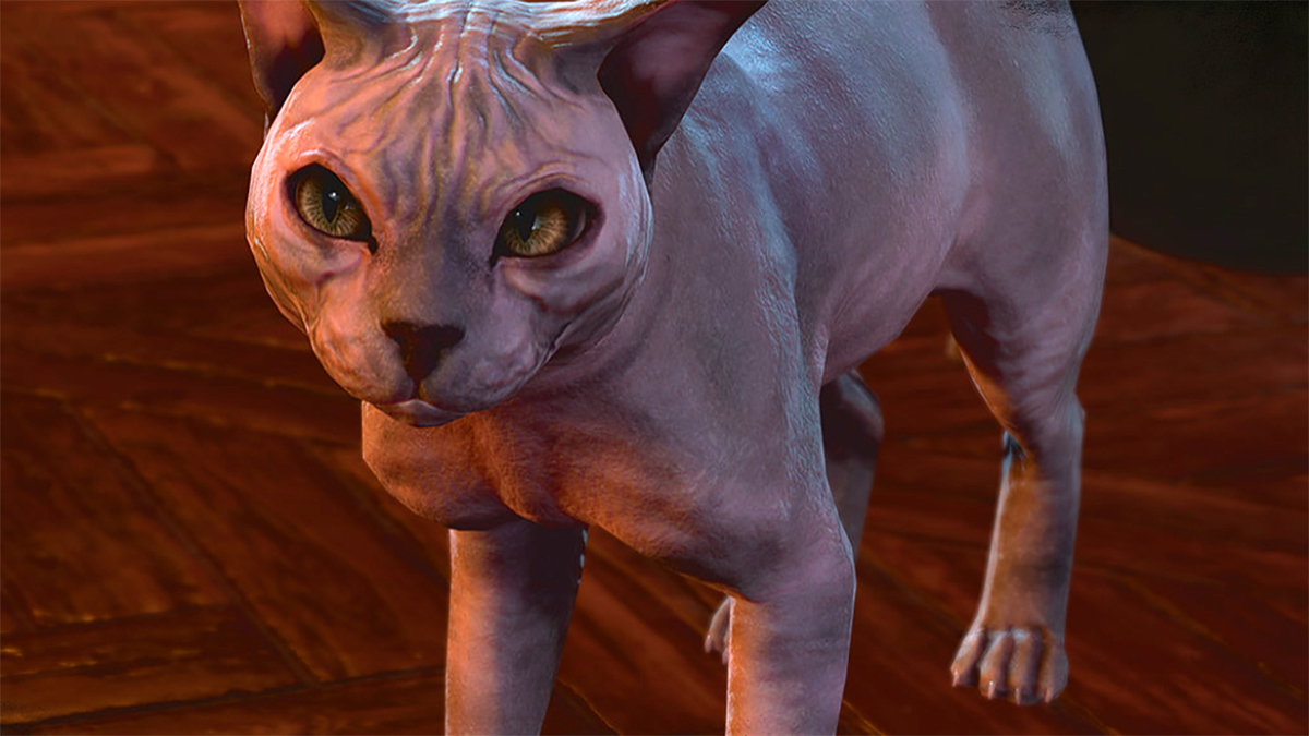 his majesty in baldurs gate 3