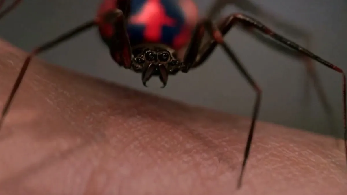  Araneus Oscorpeus spider in Spider-Man