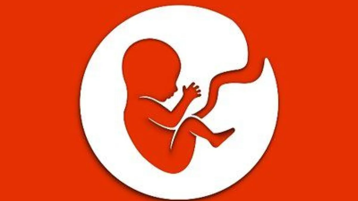 bitlife header used as part of an article on what a prenup does in the game. The image shows a baby in a white circle surrounded by red.