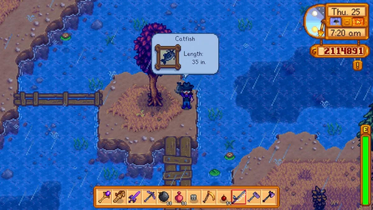 Player catches a Catfish in Stardew Valley.