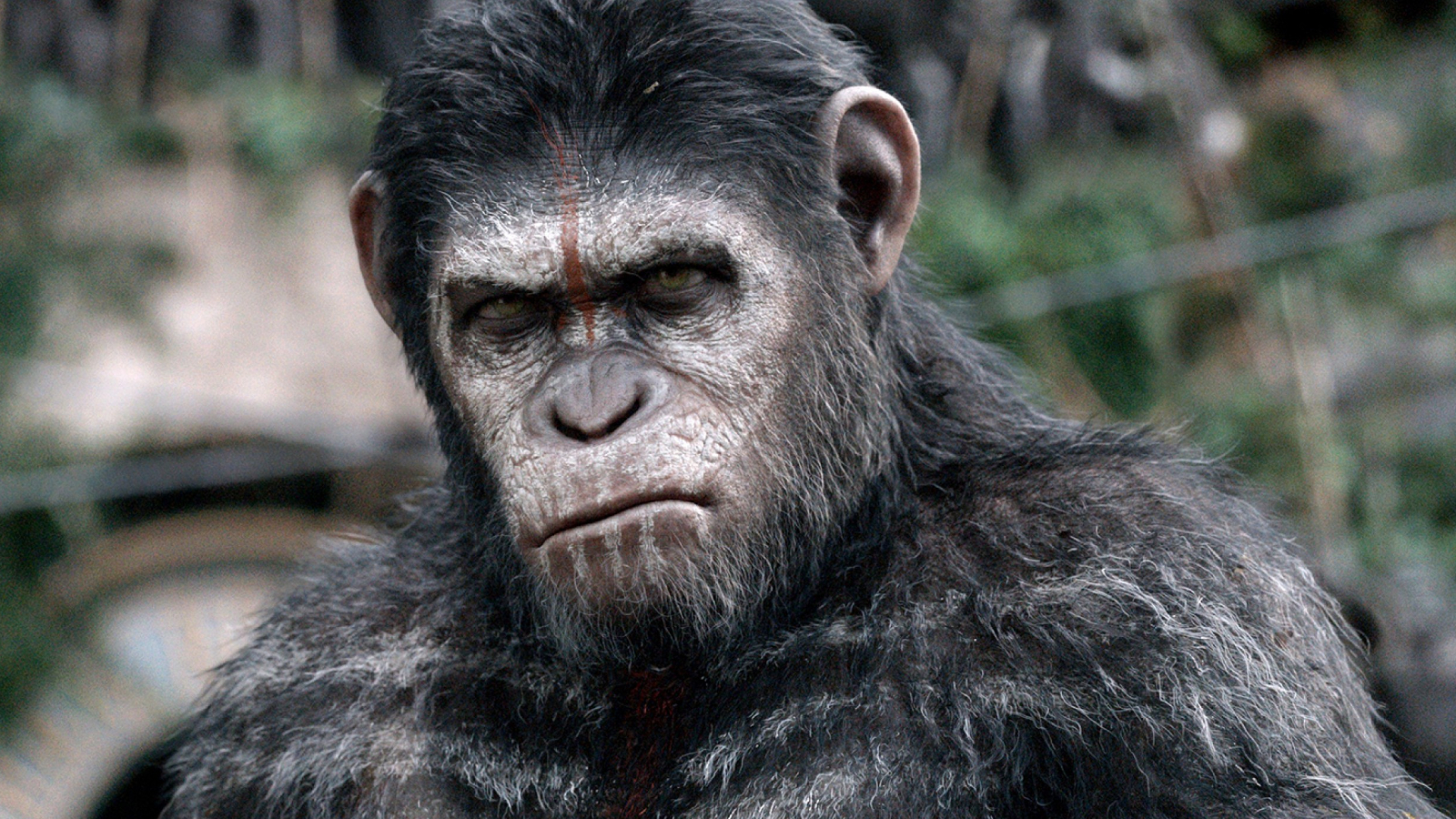 Caesar in Dawn of the Planet of the Apes