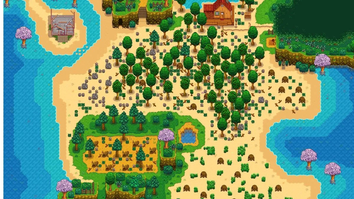 Image of the Beach Farm layout in Stardew Valley