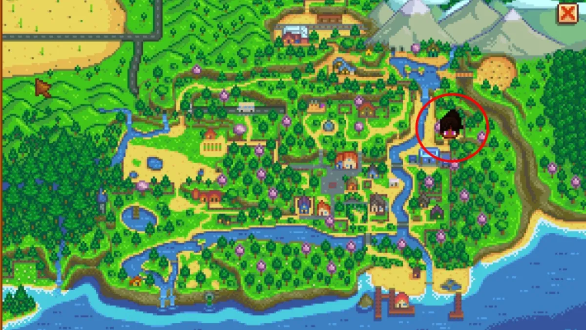Bookseller Map Location Stardew Valley