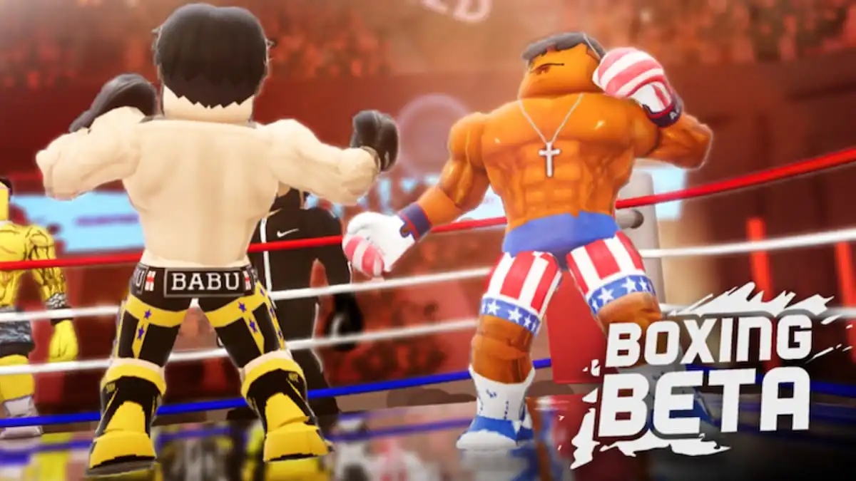 Boxing Beta promo image