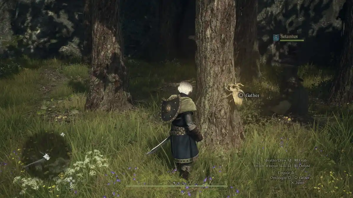 golden trove beetle in dragon's dogma 2