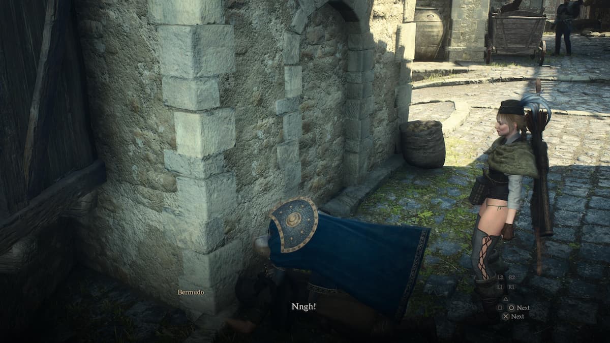 борьба с преследователем восставшего в Dragon's Dogma 2