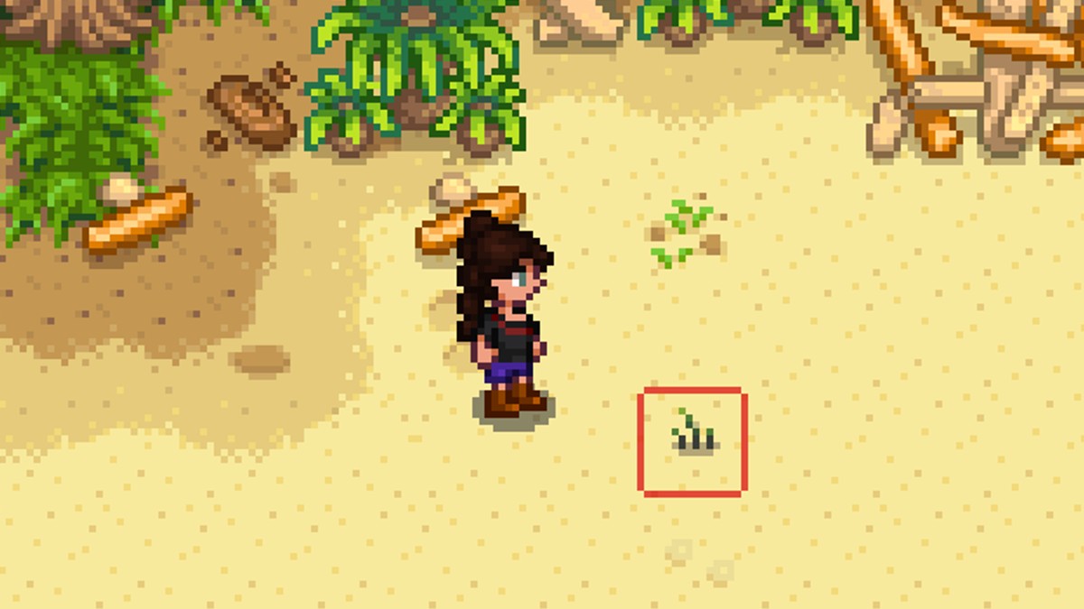 How To Get Broccoli Seeds in Stardew Valley 1.6