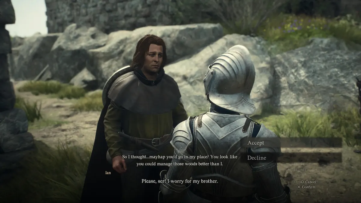 Arisen accepting a quest to find an NPC's brother