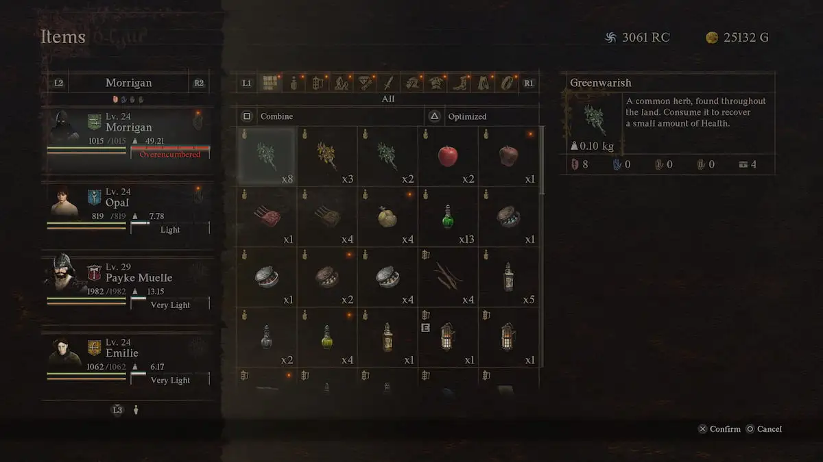 dragon's dogma 2 inventory full with items