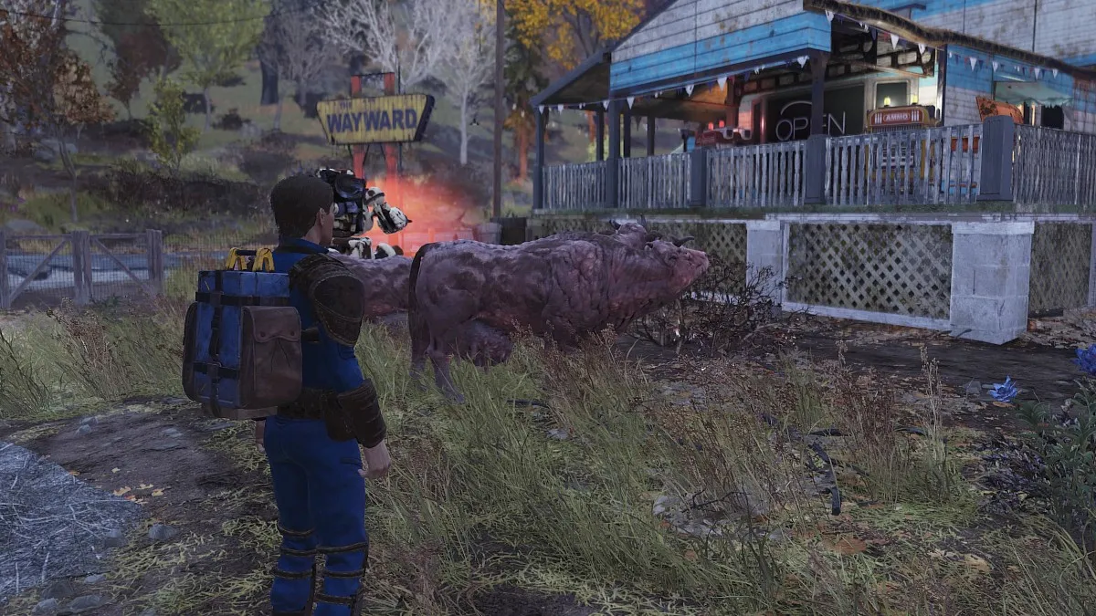 Group of Brahmin in Fallout 76.