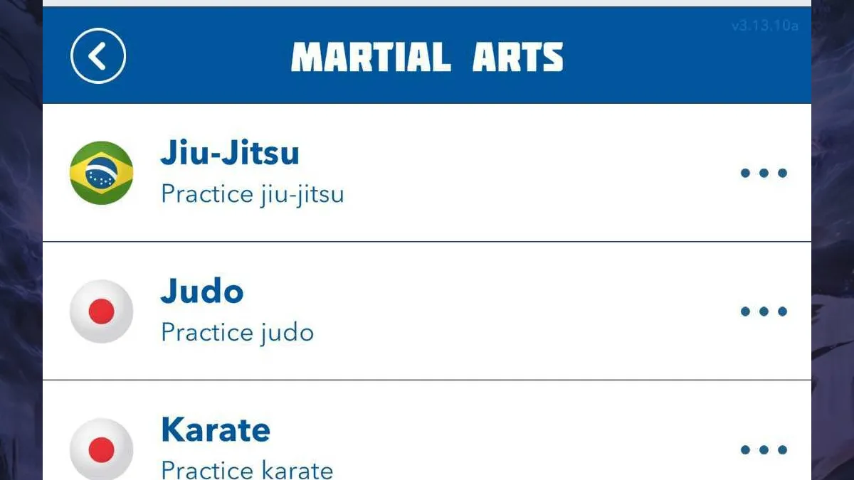 A list of different Martial Arts types in BitLife