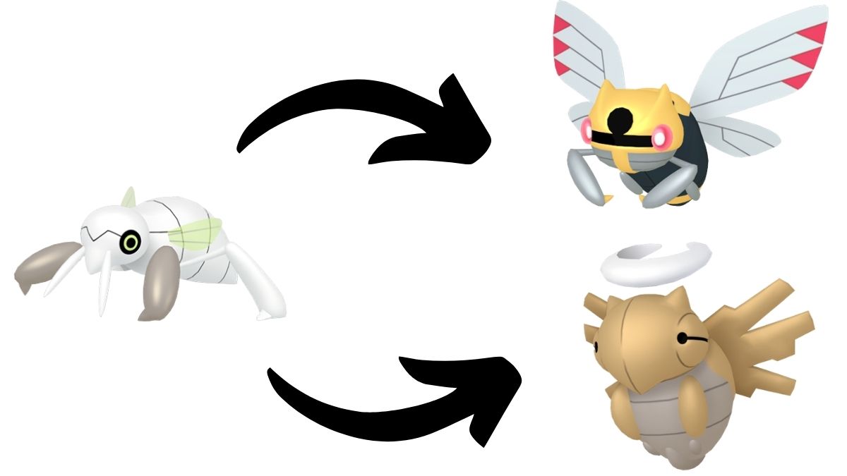 Image of Nincada with arrows pointing to both its evolved forms, Ninjask and Shedninja