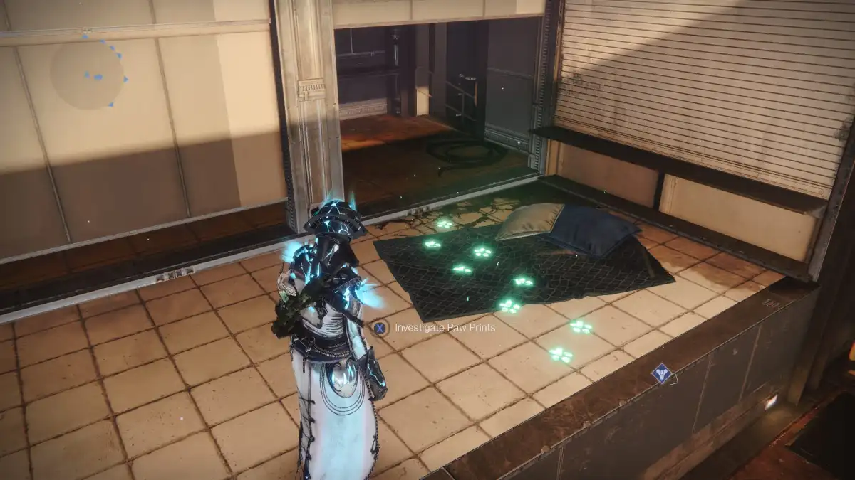 Archie's paw prints, which appear to trigger the Where in the Tower is Archie quest in Destiny 2
