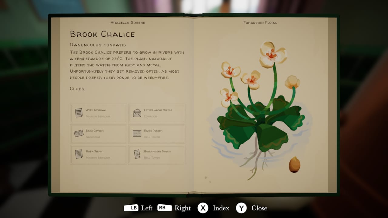 Full profile of the Brook Chalice in Botany Manor