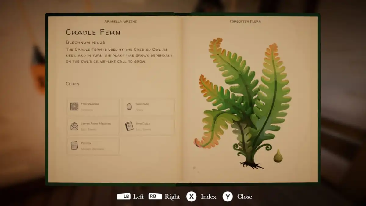 Full profile of the Cradle Fern in Botany Manor