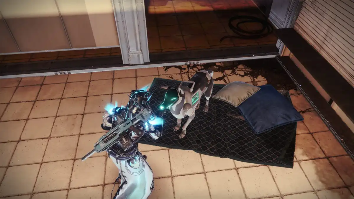 Petting Archie in Destiny 2