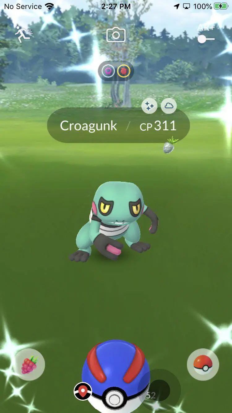 shiny croagunk in-game