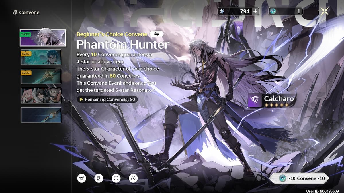 Who to Pick as Your Beginner's Choice Targeted Convene in Wuthering Waves