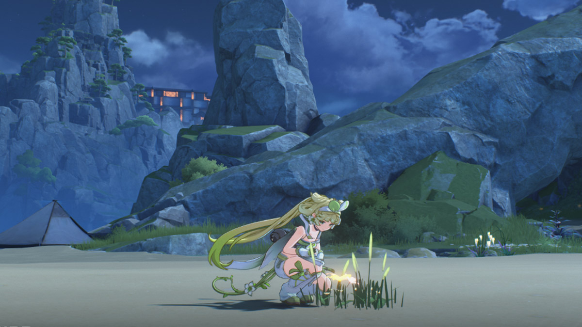 How to Play Wuthering Waves Co-Op Mode