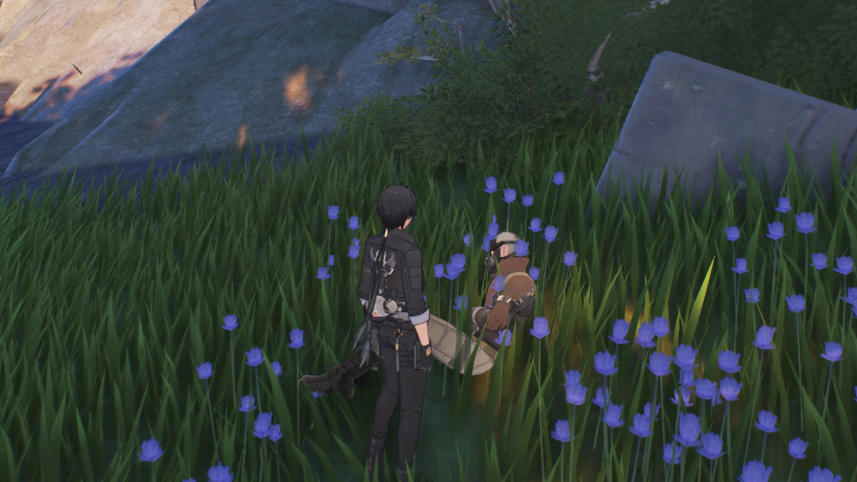 How to Find the Exile Seeking Help Treasure in Wuthering Waves